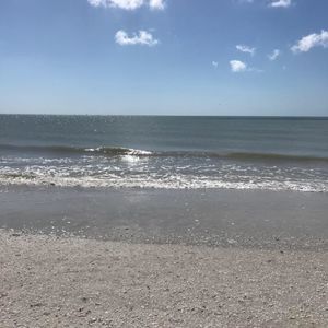 Meet your Posher, Ann